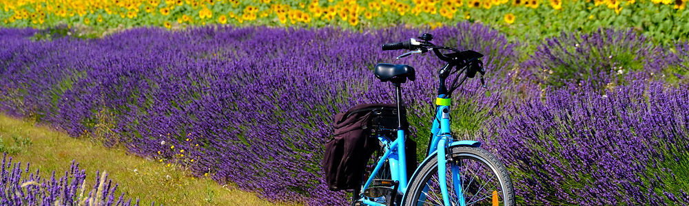 Idées week-end en France et en Europe