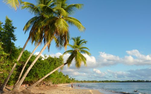 Martinique